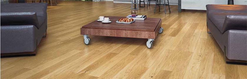 Ökologisch Ökologisch