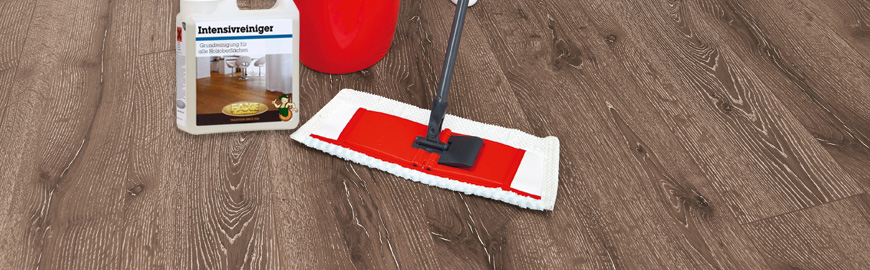 Reinigungs- & Pflegemittel Reinigungs- & Pflegemittel