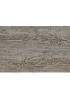 Vinyl Winter Pine/Winterfichte